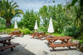terras3